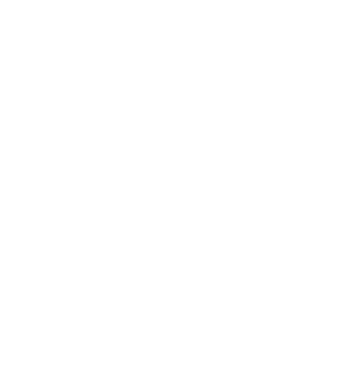 Pakis Interactive Logo